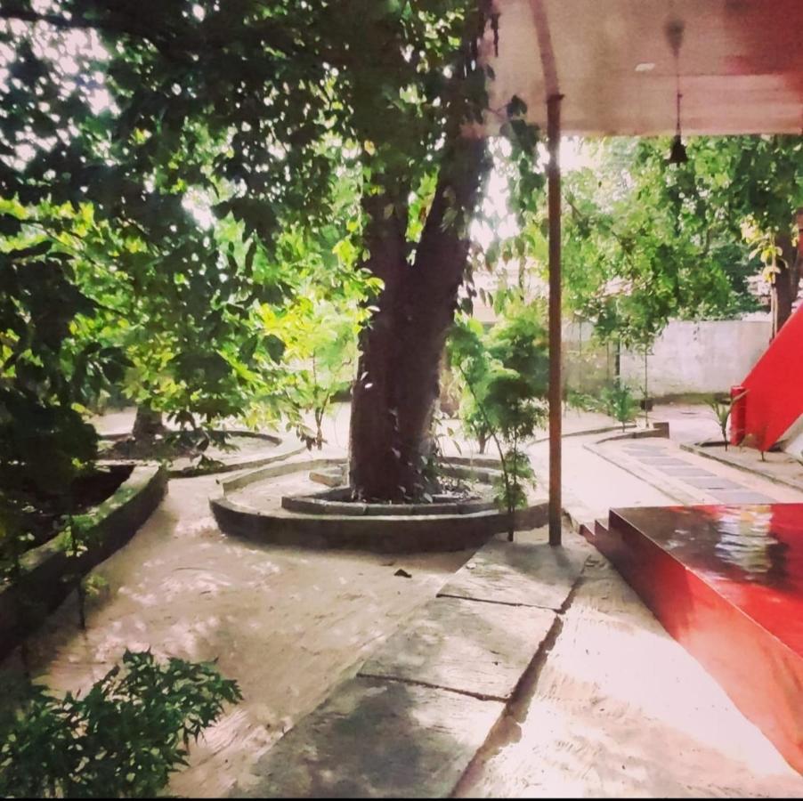 Marari Beach Pearl Homestay 马拉利库兰 外观 照片
