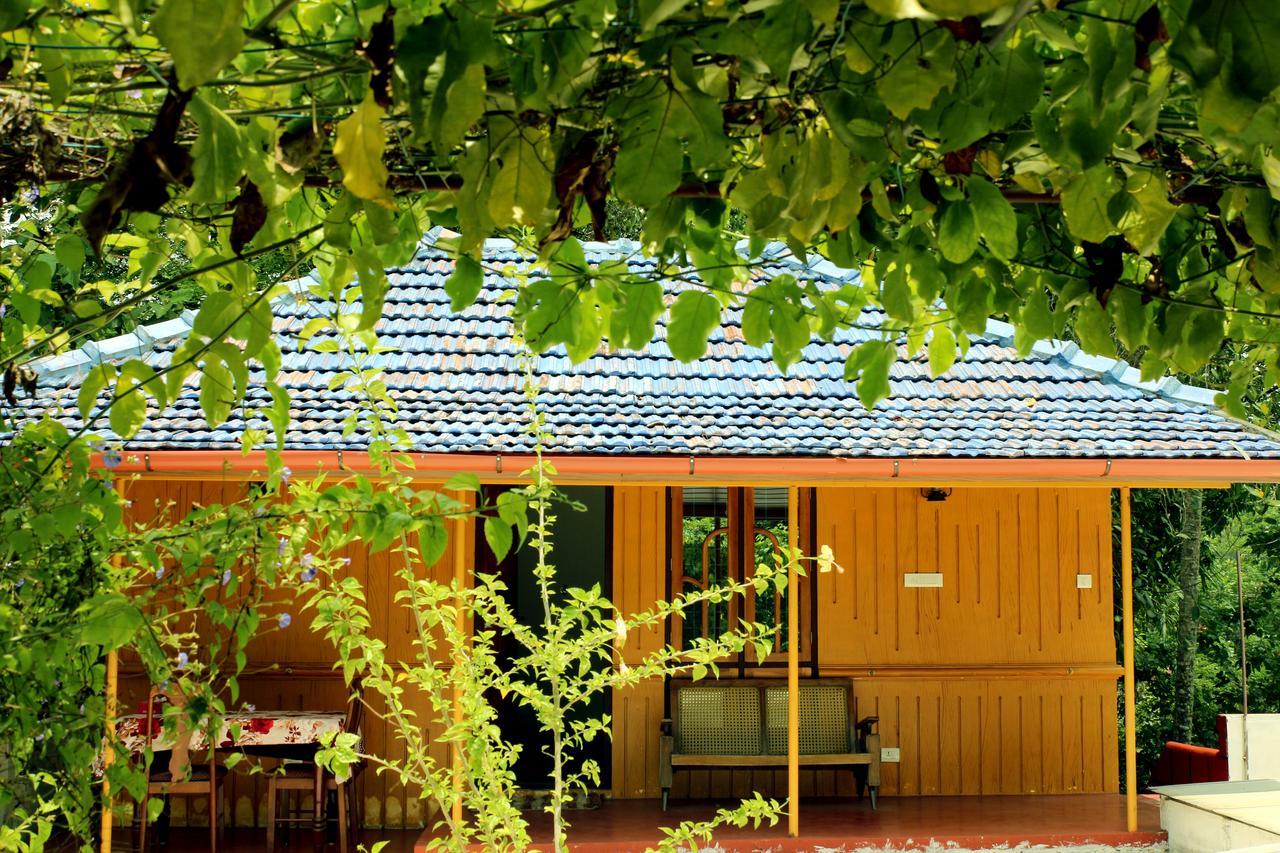 Marari Beach Pearl Homestay 马拉利库兰 外观 照片